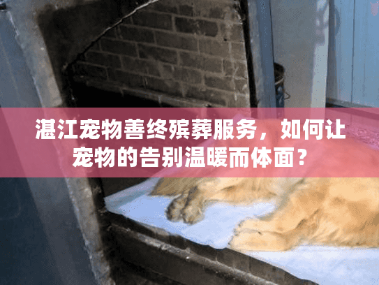 湛江宠物善终殡葬服务，如何让宠物的告别温暖而体面？
