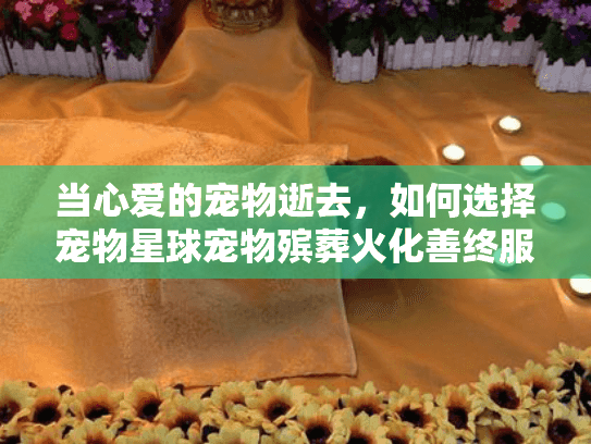 当心爱的宠物逝去，如何选择宠物星球宠物殡葬火化善终服务？