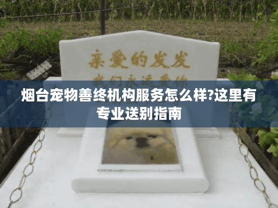 烟台宠物善终机构服务怎么样?这里有专业送别指南