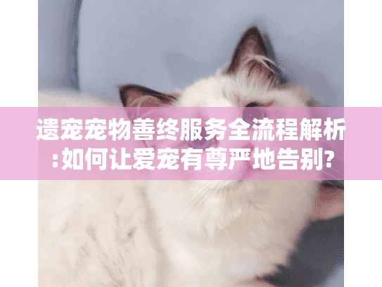 遗宠宠物善终服务全流程解析:如何让爱宠有尊严地告别?