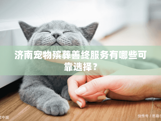 济南宠物殡葬善终服务有哪些可靠选择？