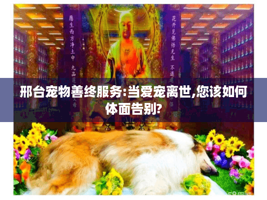 邢台宠物善终服务:当爱宠离世,您该如何体面告别?