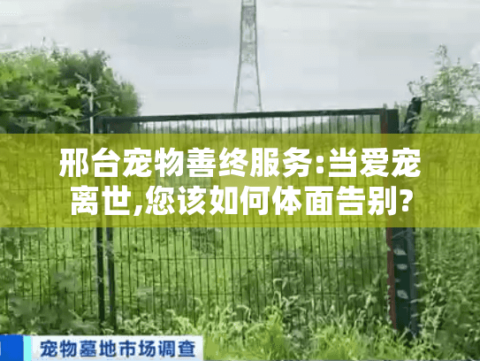 邢台宠物善终服务:当爱宠离世,您该如何体面告别?