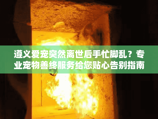 遵义爱宠突然离世后手忙脚乱？专业宠物善终服务给您贴心告别指南
