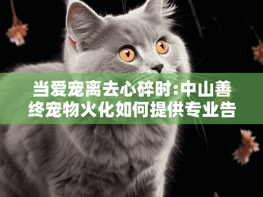当爱宠离去心碎时:中山善终宠物火化如何提供专业告别服务?