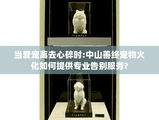 当爱宠离去心碎时:中山善终宠物火化如何提供专业告别服务?