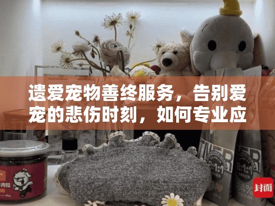 遗爱宠物善终服务，告别爱宠的悲伤时刻，如何专业应对？