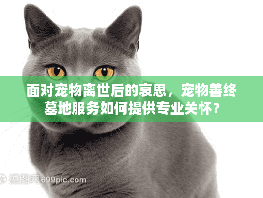 面对宠物离世后的哀思，宠物善终墓地服务如何提供专业关怀？