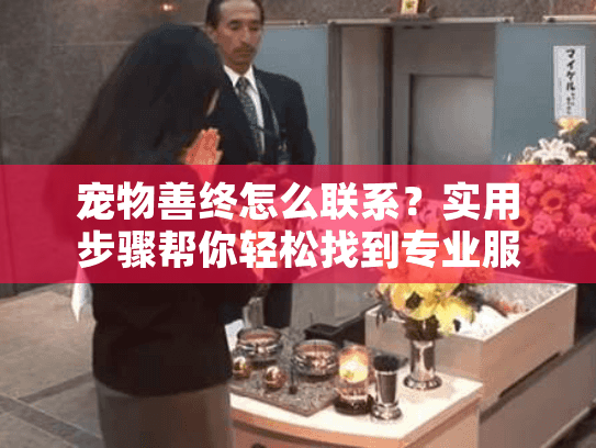宠物善终怎么联系？实用步骤帮你轻松找到专业服务