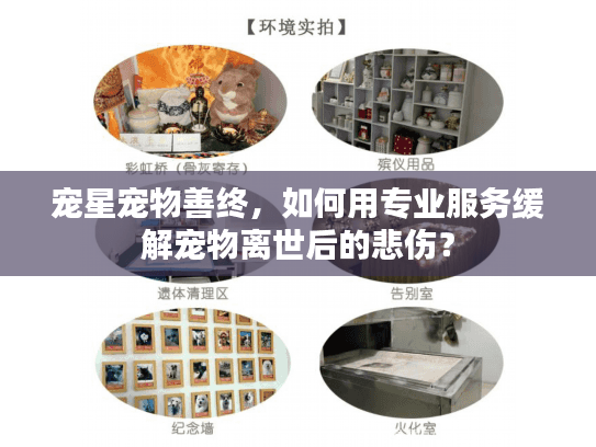 宠星宠物善终，如何用专业服务缓解宠物离世后的悲伤？
