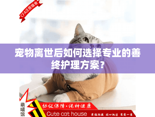 宠物离世后如何选择专业的善终护理方案？