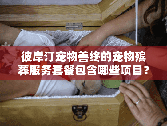 彼岸汀宠物善终的宠物殡葬服务套餐包含哪些项目？