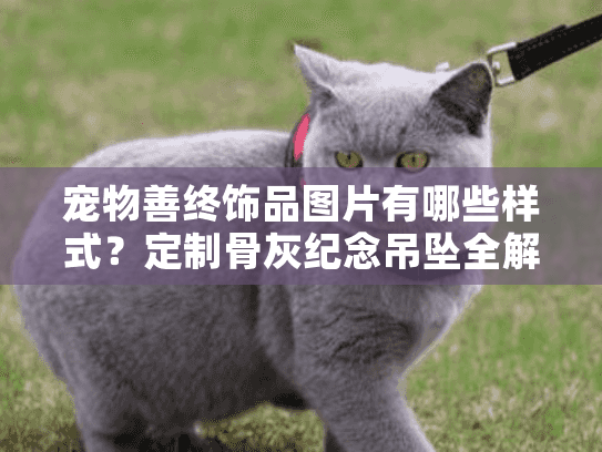 宠物善终饰品图片有哪些样式？定制骨灰纪念吊坠全解析