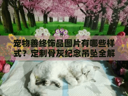 宠物善终饰品图片有哪些样式？定制骨灰纪念吊坠全解析