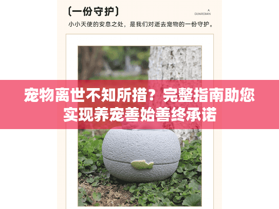 宠物离世不知所措？完整指南助您实现养宠善始善终承诺