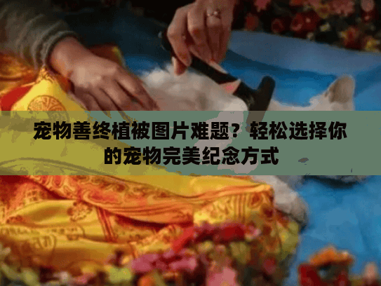 宠物善终植被图片难题？轻松选择你的宠物完美纪念方式