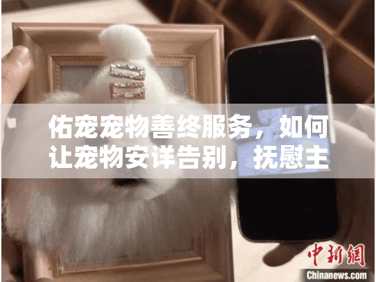 佑宠宠物善终服务,如何让宠物安详告别,抚慰主人的心?