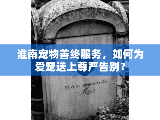 淮南宠物善终服务，如何为爱宠送上尊严告别？