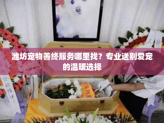 潍坊宠物善终服务哪里找？专业送别爱宠的温暖选择