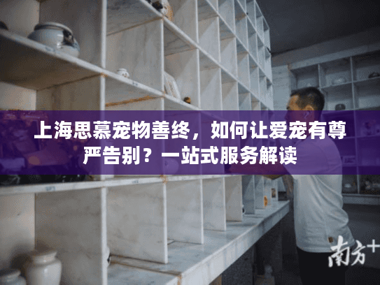 上海思慕宠物善终，如何让爱宠有尊严告别？一站式服务解读