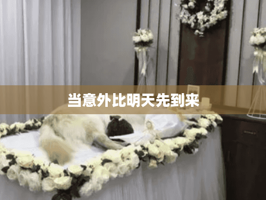 当意外比明天先到来