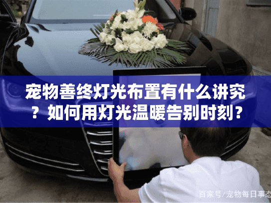 宠物善终灯光布置有什么讲究？如何用灯光温暖告别时刻？