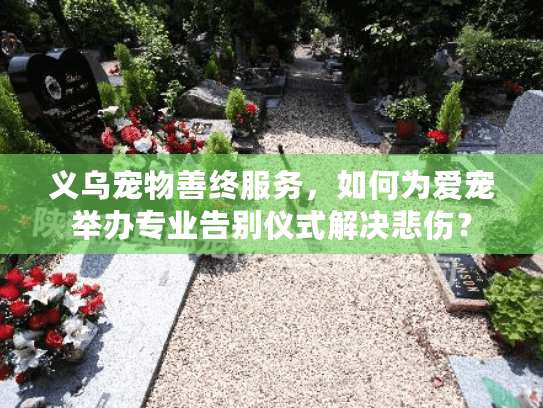 义乌宠物善终服务，如何为爱宠举办专业告别仪式解决悲伤？
