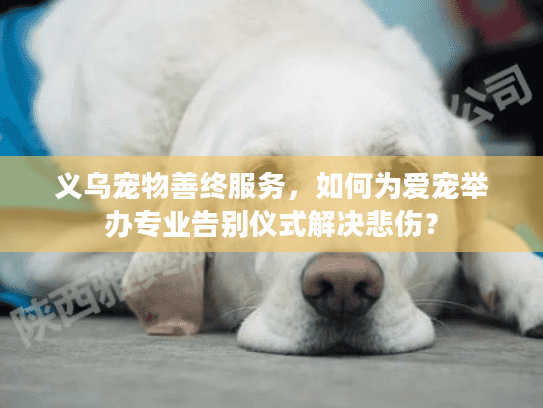 义乌宠物善终服务，如何为爱宠举办专业告别仪式解决悲伤？
