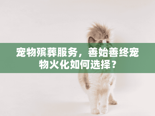 宠物殡葬服务，善始善终宠物火化如何选择？