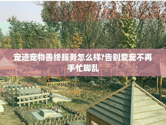 宠迹宠物善终服务怎么样?告别爱宠不再手忙脚乱