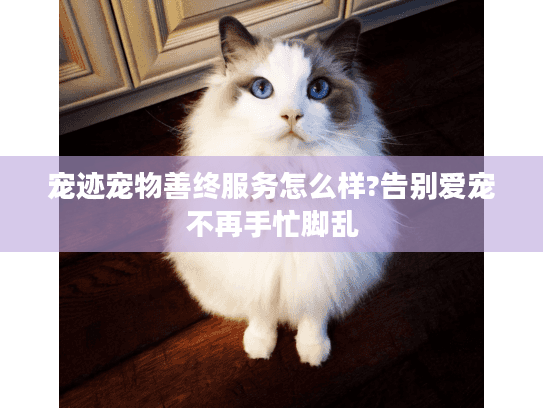 宠迹宠物善终服务怎么样?告别爱宠不再手忙脚乱