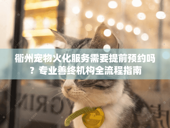 衢州宠物火化服务需要提前预约吗？专业善终机构全流程指南