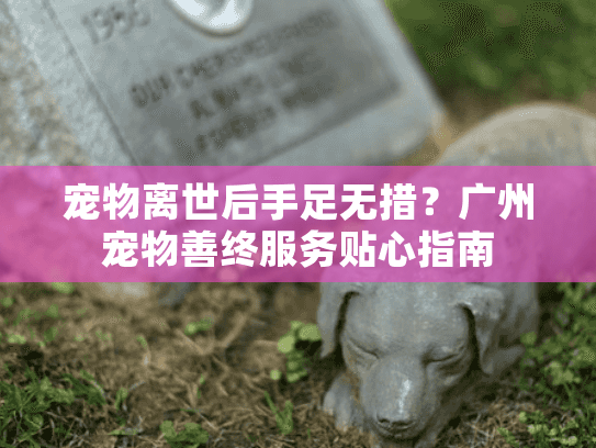 宠物离世后手足无措？广州宠物善终服务贴心指南
