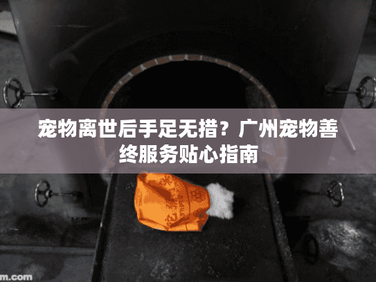 宠物离世后手足无措？广州宠物善终服务贴心指南