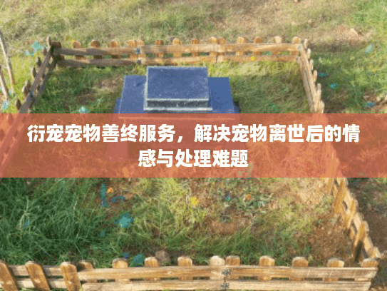 衍宠宠物善终服务，解决宠物离世后的情感与处理难题