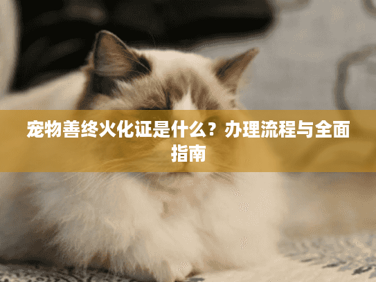 宠物善终火化证是什么？办理流程与全面指南