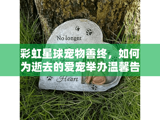 彩虹星球宠物善终，如何为逝去的爱宠举办温馨告别仪式？