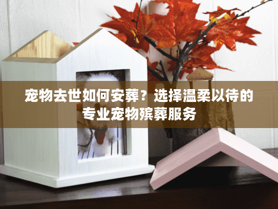 宠物去世如何安葬？选择温柔以待的专业宠物殡葬服务