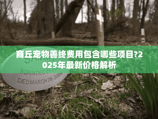 商丘宠物善终费用包含哪些项目?2025年最新价格解析