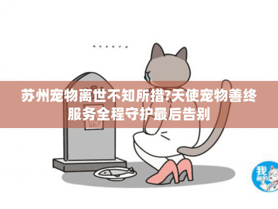 苏州宠物离世不知所措?天使宠物善终服务全程守护最后告别