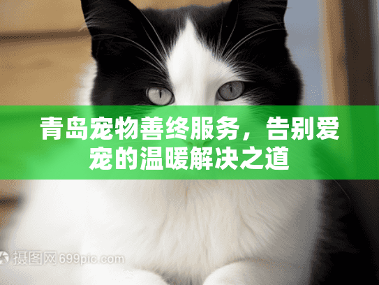 青岛宠物善终服务，告别爱宠的温暖解决之道