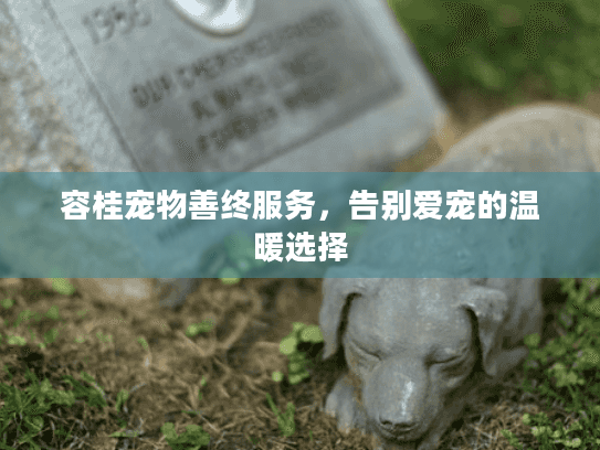 容桂宠物善终服务，告别爱宠的温暖选择
