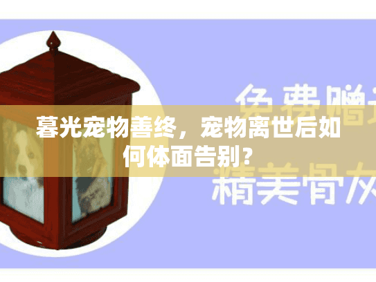 暮光宠物善终，宠物离世后如何体面告别？