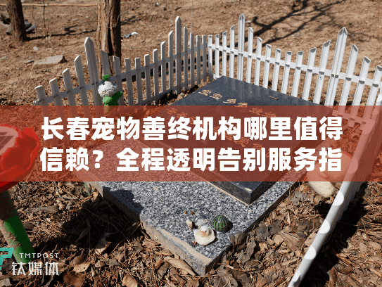 长春宠物善终机构哪里值得信赖？全程透明告别服务指南