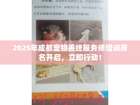 2025年成都宠物善终服务师培训报名开启，立即行动！