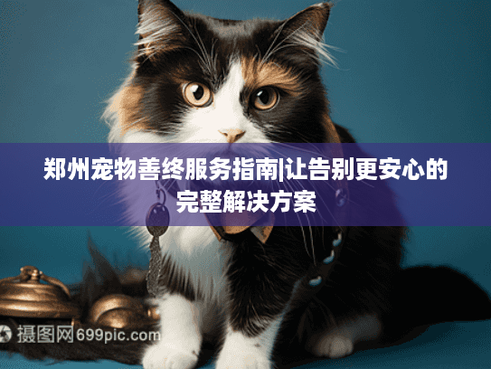郑州宠物善终服务指南|让告别更安心的完整解决方案