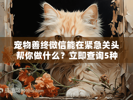 宠物善终微信能在紧急关头帮你做什么？立即查询5种告别方案