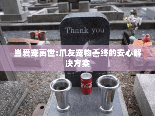 当爱宠离世:爪友宠物善终的安心解决方案