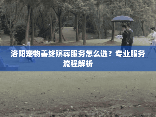洛阳宠物善终殡葬服务怎么选？专业服务流程解析