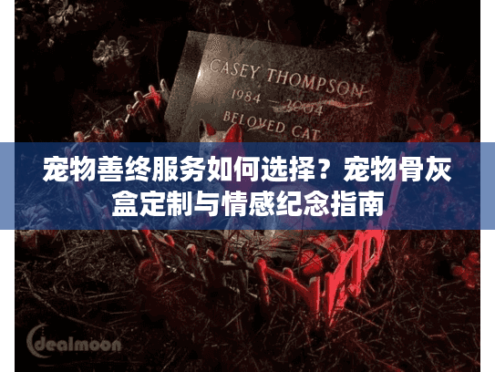 宠物善终服务如何选择？宠物骨灰盒定制与情感纪念指南